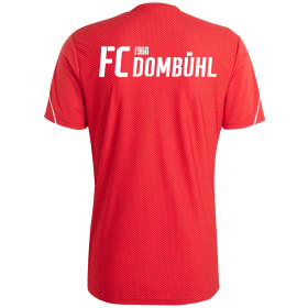 FC DOMBÜHL TRAININGSSHIRT