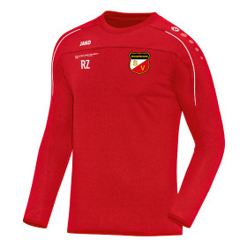 SV ERGERSHEIM SWEAT