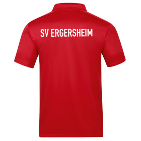 SV ERGERSHEIM POLO