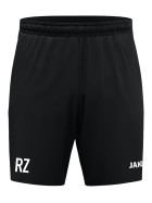 DJK EINTRACHT ALLERSBERG TRAININGSSHORT
