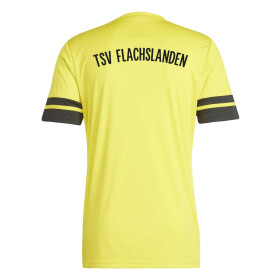TSV FLACHSLANDEN TRAININGSSHIRT