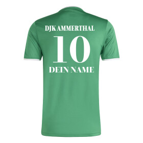 DJK AMMERTHAL JUGEND TRIKOT