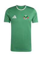 DJK AMMERTHAL JUGEND TRIKOT