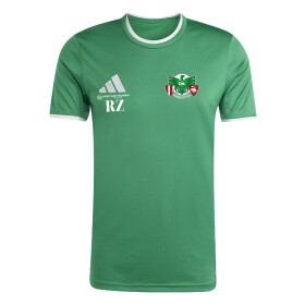 DJK AMMERTHAL JUGEND TRAININGSSHIRT