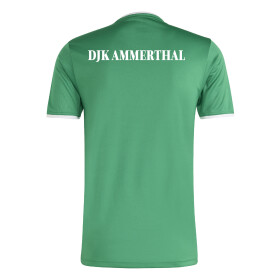 DJK AMMERTHAL JUGEND TRAININGSSHIRT