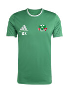 DJK AMMERTHAL JUGEND TRAININGSSHIRT