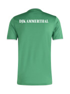 DJK AMMERTHAL JUGEND TRAININGSSHIRT