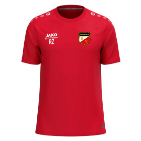 SV ERGERSHEIM TRAININGSSHIRT KINDER