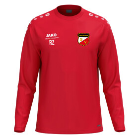 SV ERGERSHEIM SWEATSHIRT