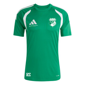 SF HOFSTETTEN TRAININGSSHIRT GRÜN