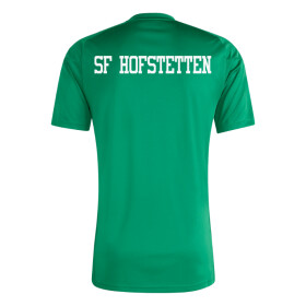 SF HOFSTETTEN TRAININGSSHIRT GRÜN